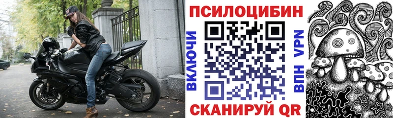 Псилоцибиновые грибы мицелий  Рославль 